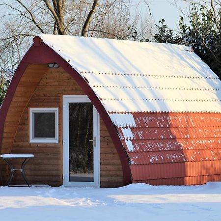 Luxe Eco Pod Op Camping De Stal Drijber Zewnętrze zdjęcie